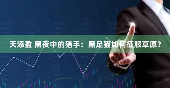 天添盈 黑夜中的猎手：黑足猫如何征服草原？