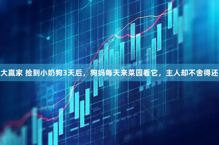 大赢家 捡到小奶狗3天后，狗妈每天来菜园看它，主人却不舍得还