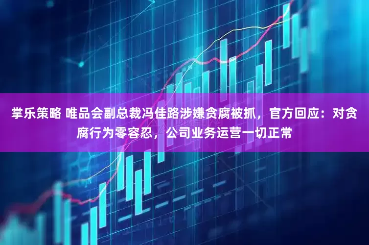 掌乐策略 唯品会副总裁冯佳路涉嫌贪腐被抓，官方回应：对贪腐行为零容忍，公司业务运营一切正常