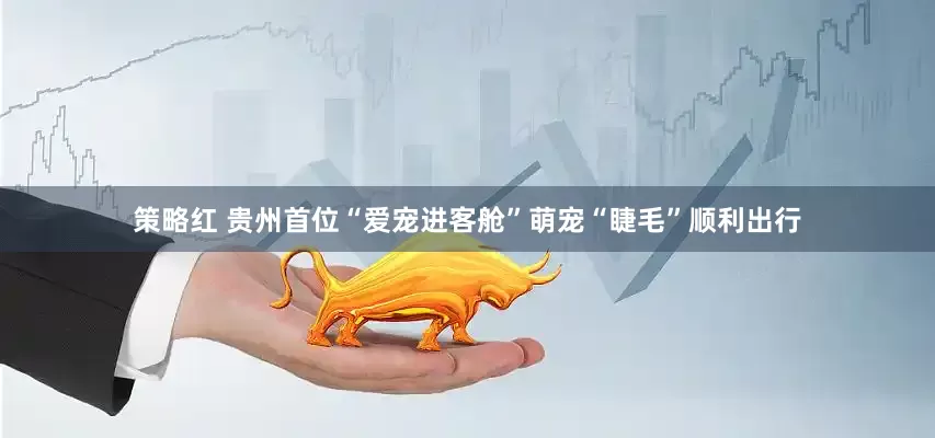 策略红 贵州首位“爱宠进客舱”萌宠“睫毛”顺利出行