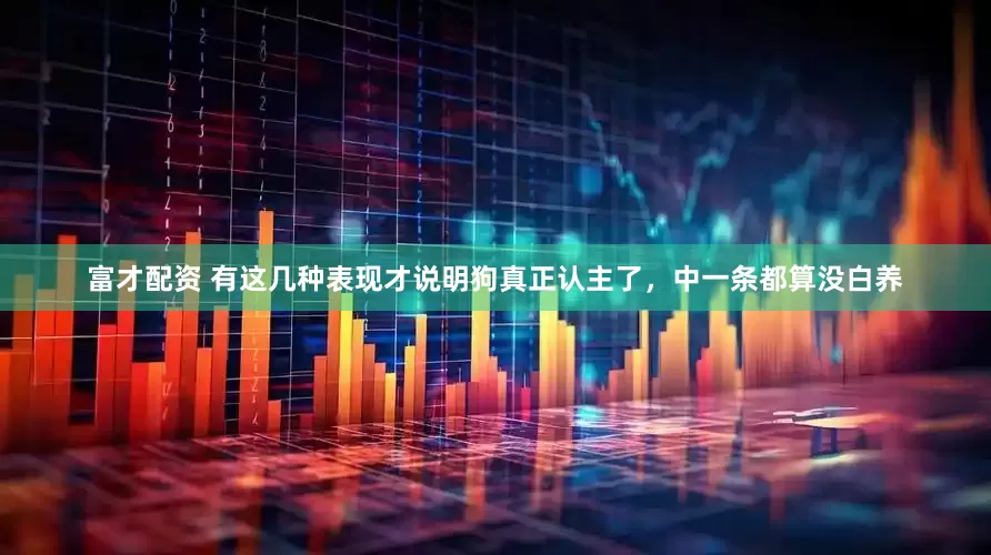 富才配资 有这几种表现才说明狗真正认主了，中一条都算没白养