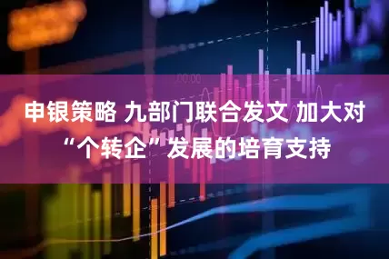 申银策略 九部门联合发文 加大对“个转企”发展的培育支持