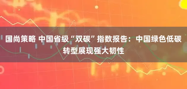 国尚策略 中国省级“双碳”指数报告：中国绿色低碳转型展现强大韧性