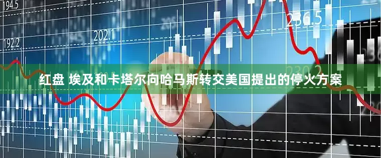 红盘 埃及和卡塔尔向哈马斯转交美国提出的停火方案