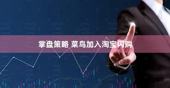 掌盘策略 菜鸟加入淘宝闪购