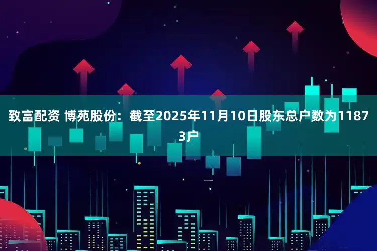 致富配资 博苑股份：截至2025年11月10日股东总户数为11873户